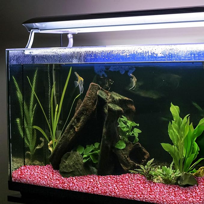 Hygloss Products Craft Rocks, Mini Stones for Art Projects - Bucket O' Gravel, Red, 5 lb