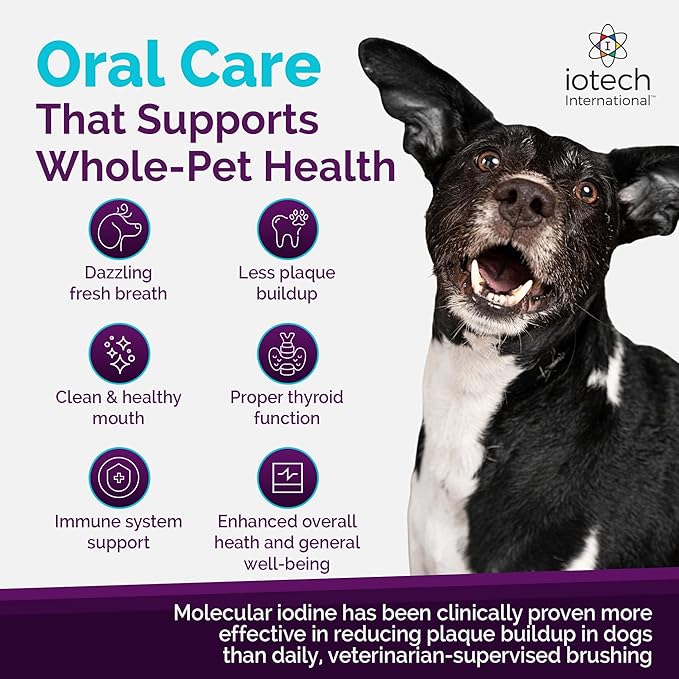 Recommended by Veterinarians Because it Simply Works Better. ioVet Oral Pet Water additive effortlessly Helps Your pet to The Clean, Healthy Mouth & Dazzling Fresh Breath You've Always Hoped for.