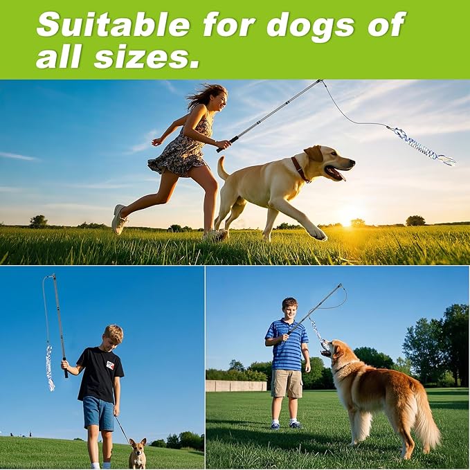 Carbon Fiber Flirt Pole for Dogs, 0.23 Pounds Lightweight Dog Flirt Pole for Large Medium Small Dogs, Telescopic Flirt Stick with 2 Toys & 2 Ropes (40 Inches Pole)