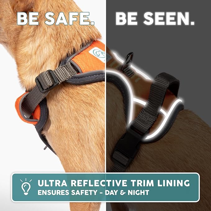 Embark Adventure Dog Harness, Reflective Trim No Pull Dog Harness Medium Sized Dogs - Military Grade Nylon, Front Clip with Gel Lined Handle.