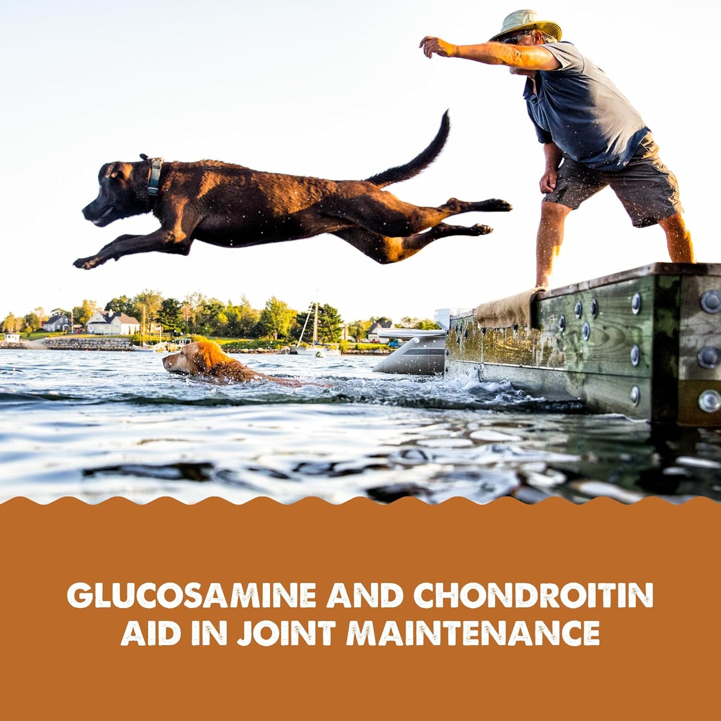 GRIZZLY PET PRODUCTS Joint Aid Liquid Hip and Joint Health Supplement Product for Dogs and Cats, 16 Ounce