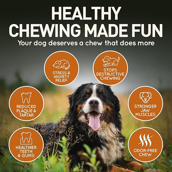 Wildfang® Briar Wood Chewing Root, Medium - Splinter Free Wood Dog Chew Toys for Aggressive Chewer, Odorless Natural Teething Toys Dogs Dental Health, Healthy Gums (for Dogs 33-55 lbs), Pack of 3
