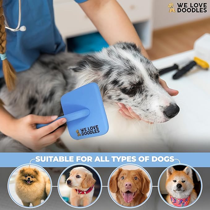 Slicker Brush for Dogs, Dog Grooming Supplies - Best Doodle & Poodle Brush for Long Haired Dogs - Goldendoodle Long Pin Detangler For Dematting (Large Curved)