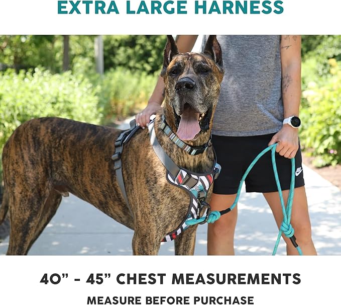 Embark Adventure Dog Harness, Reflective Trim XL Dog Harness for Extra Large Dogs No Pull - Military Grade Nylon, 2 Leash Clips & Gel Lined Handle. Soft & Padded Puppy Dog Harnesses for Any Breed