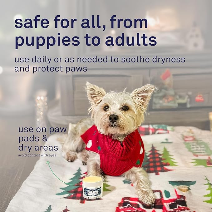 Petpost | Paw Protection for Dogs - Organic Sunflower Oil and Beeswax Balm for Hot Pavement - Wax Coats Dog Feet to Prevent Burns from Heat & Cold 0.64 oz.