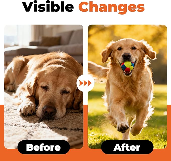 Electrolytes for Dogs – Vet-Formulated Hydration Supplement– Supports Post-Surgery & Illness Recovery– Helps Replenish Fluids & Electrolytes Lost from Diarrhea, Vomiting & Poor Appetite
