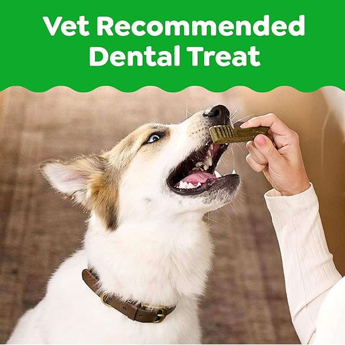 Greenies Veterinarian-Recommended Adult Natural Dental Dog Treats Regular Size, Dog Dental Chews, Original Flavor, 3 oz. Pack, 3 Count
