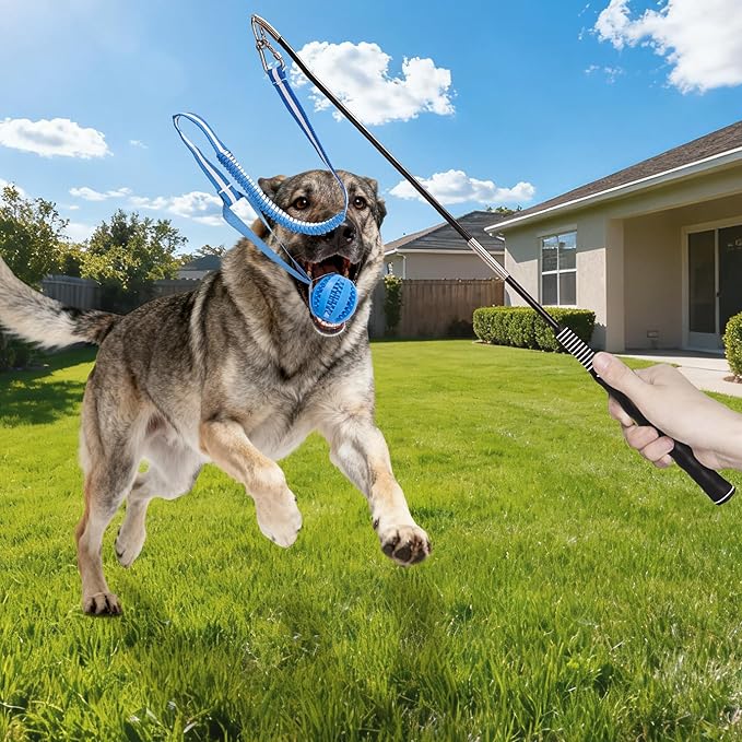 Flirt Pole for Dogs, Durable Dog Flirt Pole for Large Medium & Small Dogs, Interactive Dog Pole Toy with Rubber Ball for Outdoor/Indoor, Training, Chase, Tug of War 31 inch