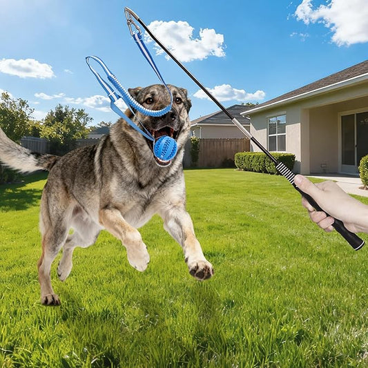 Flirt Pole for Dogs, Durable Dog Flirt Pole for Large Medium & Small Dogs, Interactive Dog Pole Toy with Rubber Ball for Outdoor/Indoor, Training, Chase, Tug of War 31 inch