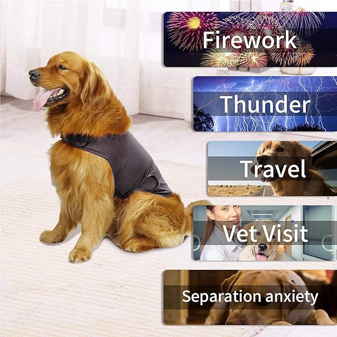 Dog Anxiety Shirt, Jacket Stress Relief Coat, Adjustable Vest for Fireworks, Thunderstorm, Calming Vest Wrap Clothing for Dogs (M)