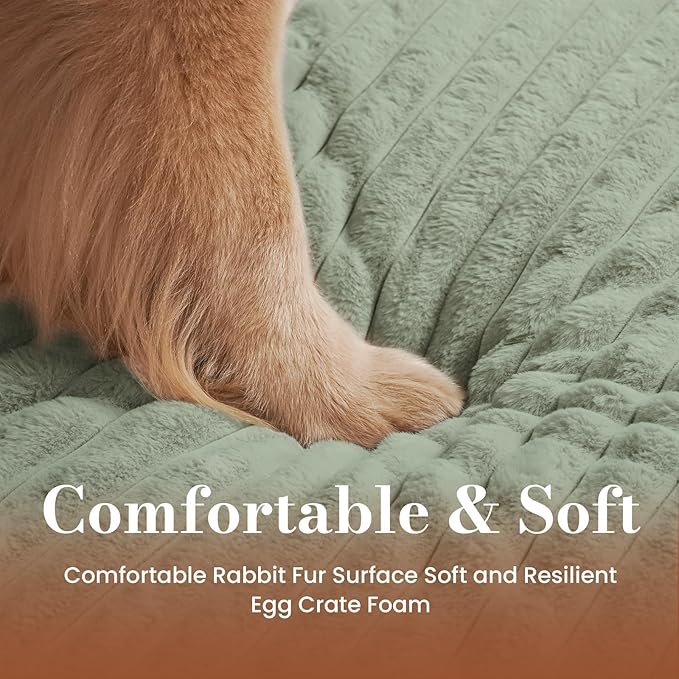 Dog Beds for Extra Large Sized Dog, Orthopedic Pet Bed with Waterproof Lining, Soft Short Plush Surface & Egg Crate Foam, Machine Washable Pet Mat with Removable Cover & Anti Slip Bottom