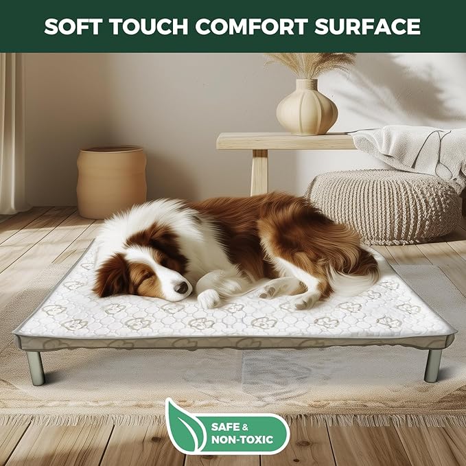 FXW TitanNest Chew-Proof Elevated Dog Bed, Raised Cot for Indoor/Outdoor/Camping Use, Durable & Washable Padded Pet Bed with Exclusive Cover for Small Dogs, 35.0" L x 22.0" W x 4.5" H, Gray
