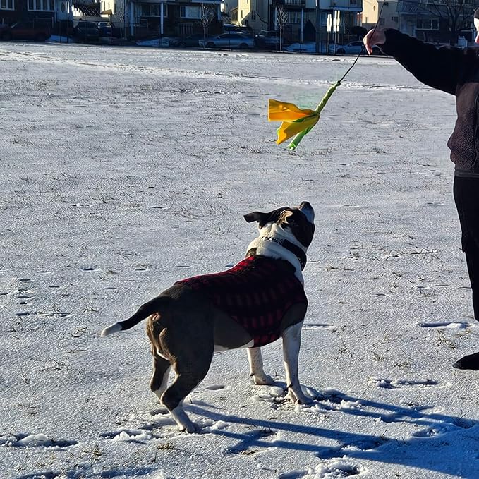 Flirt Pole For Dogs- Extendable Heavy Duty Flirt Pole For Dogs- Interactive Dog Training Toy w/ Interchangeable Lures & Instructional Guide- Engaging Heavy Duty Dog Toy- Flirt Pole For Large Pups