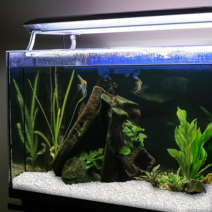 Hygloss Products Craft Rocks, Mini Stones for Art Projects - Bucket O' Gravel, White, 1 lb