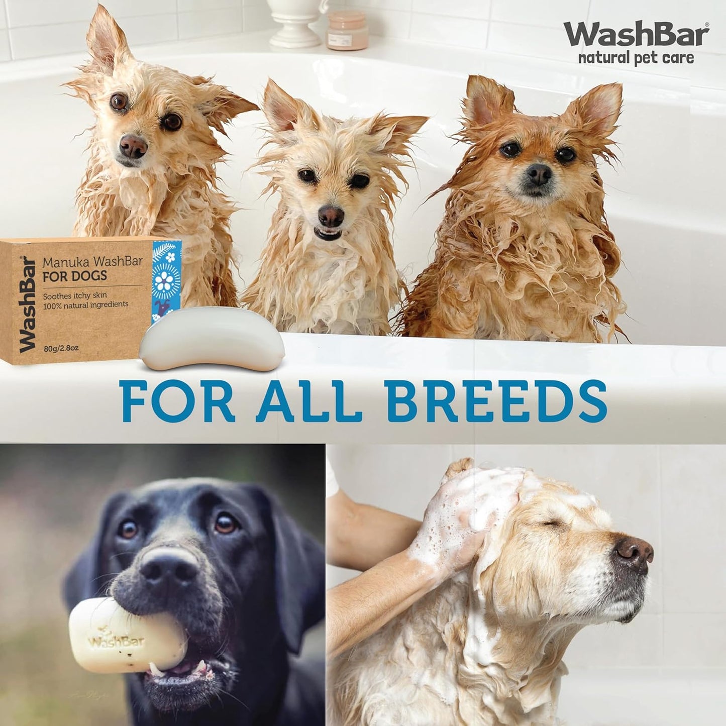 Dog Shampoo Bar Soap for Itchy Skin Relief - Twin Pack - Concentrated Dog Soap for Sensitive Skin with Natural Manuka and Neem Oil to Ease Allergies and Itching