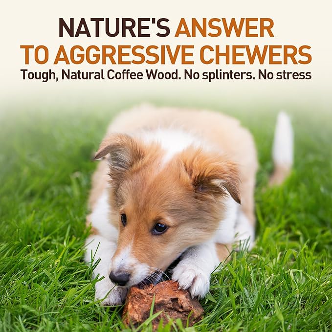 Wildfang® Briar Wood Chewing Root, XL - Splinter Free Wood Dog Chew Toys for Aggressive Chewer, Odorless Natural Teething Toys Dogs Dental Health, Healthy Gums (for Dogs 99-132 lbs), Pack of 1