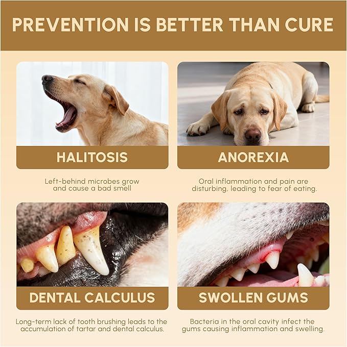 Advanced Probiotic Pet Dental Water Additive, Bio-Active Formula to Fight Oral Bacteria at The Source, Freshens Breath, Reduces Plaque & Tartar, Just Add to Water, Vet Recommended, 9.8 oz