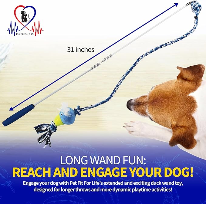 Pet Fit For Life Flirt Pole for Dogs – Extra Long 31" Dog Teaser Wand with Plush Duck Squeaky Attachment | Promotes Animal Health & Fitness, Made w/Soft & Durable Materials | Gift Idea
