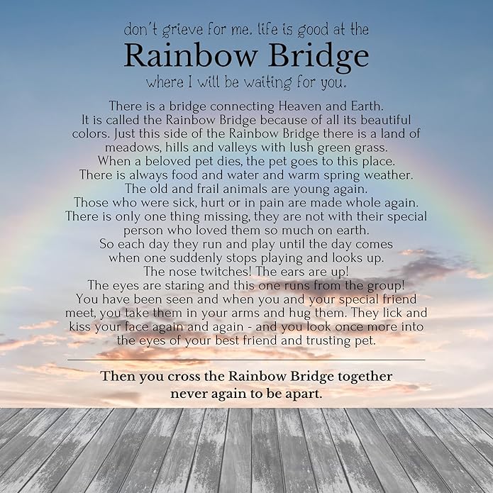 HOPE LOVE SHINE Rainbow Bridge Pet Memorial Necklace - Sympathy Gifts for Loss of a Pet - Cat & Dog Memorial Jewelry for Women & Men