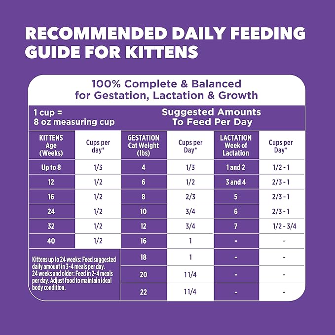 IAMS Proactive Health Healthy Kitten Dry Cat Food with Chicken, 7 lb. Bag