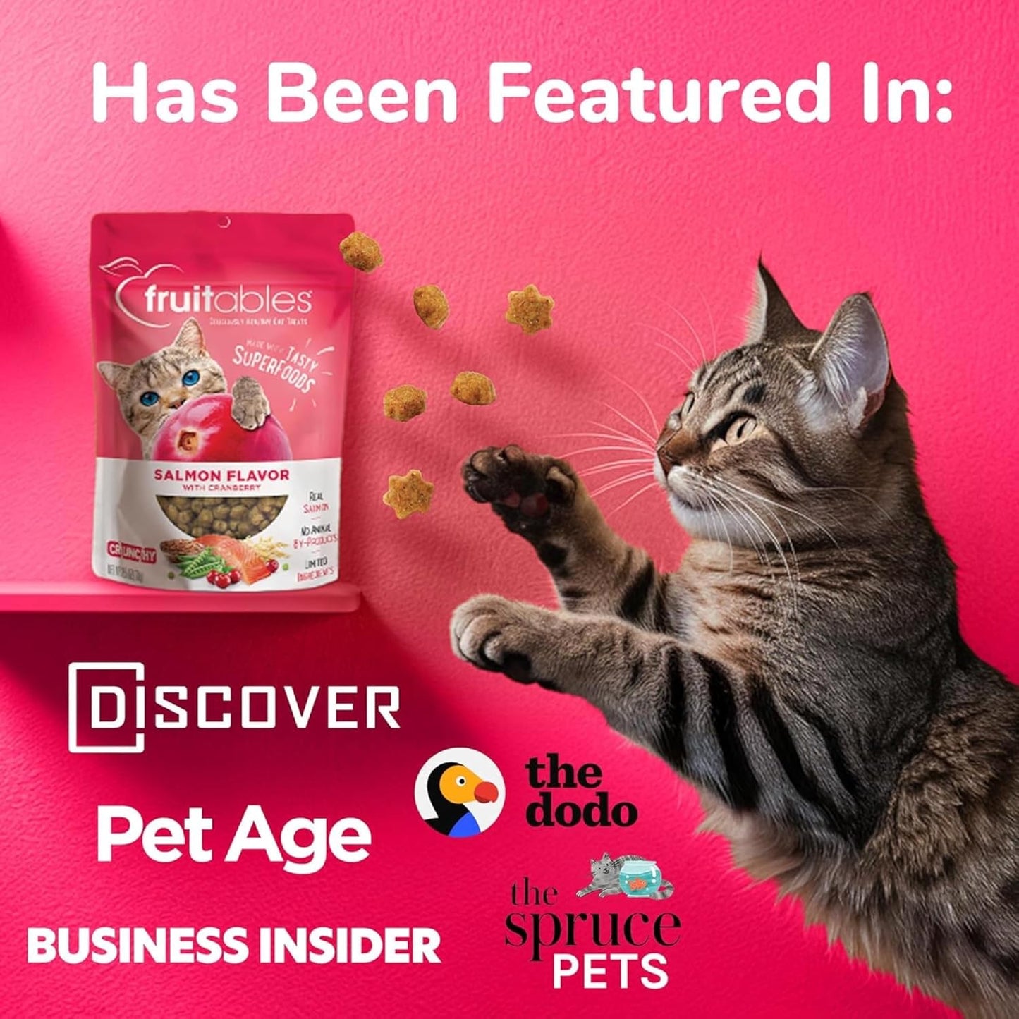 Fruitables Crunchy Low Calorie Treats Packed with Protein For Cats Healthy Free of Wheat, Corn and Soy – Made with Real Chicken with Blueberry – 2.5 Ounces