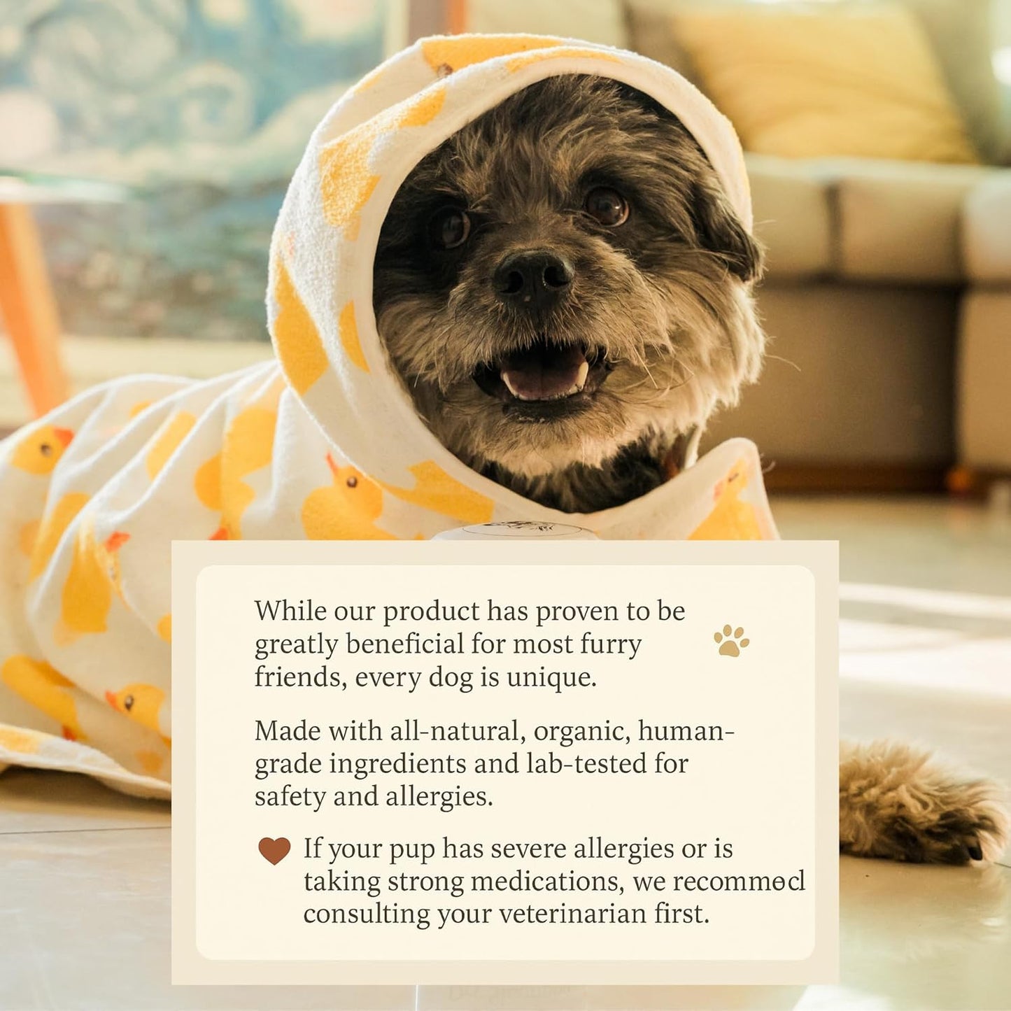 Dry Shampoo for Dogs – Antifungal Itchy Skin & Hot Spot Relief, Yeast Infection & Paw Licking Treatment, Dog Powder with Allergy Support