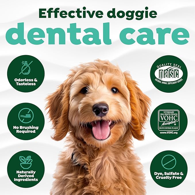 TropiClean Fresh Breath Water Additive for Dogs, Dog Breath Freshener & Teeth Cleaning Solution, No Toothpaste or Toothbrush Required, 16 oz, 3 Pack