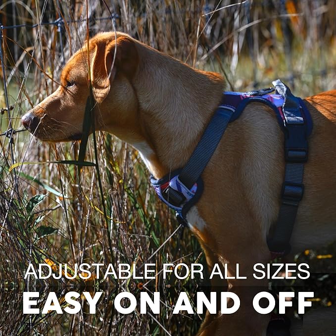 Embark Adventure Dog Harness, Reflective Trim No Pull Dog Harnesses for Small Sized Dogs - Military Grade Nylon, Front Clip with Gel Lined Handle.