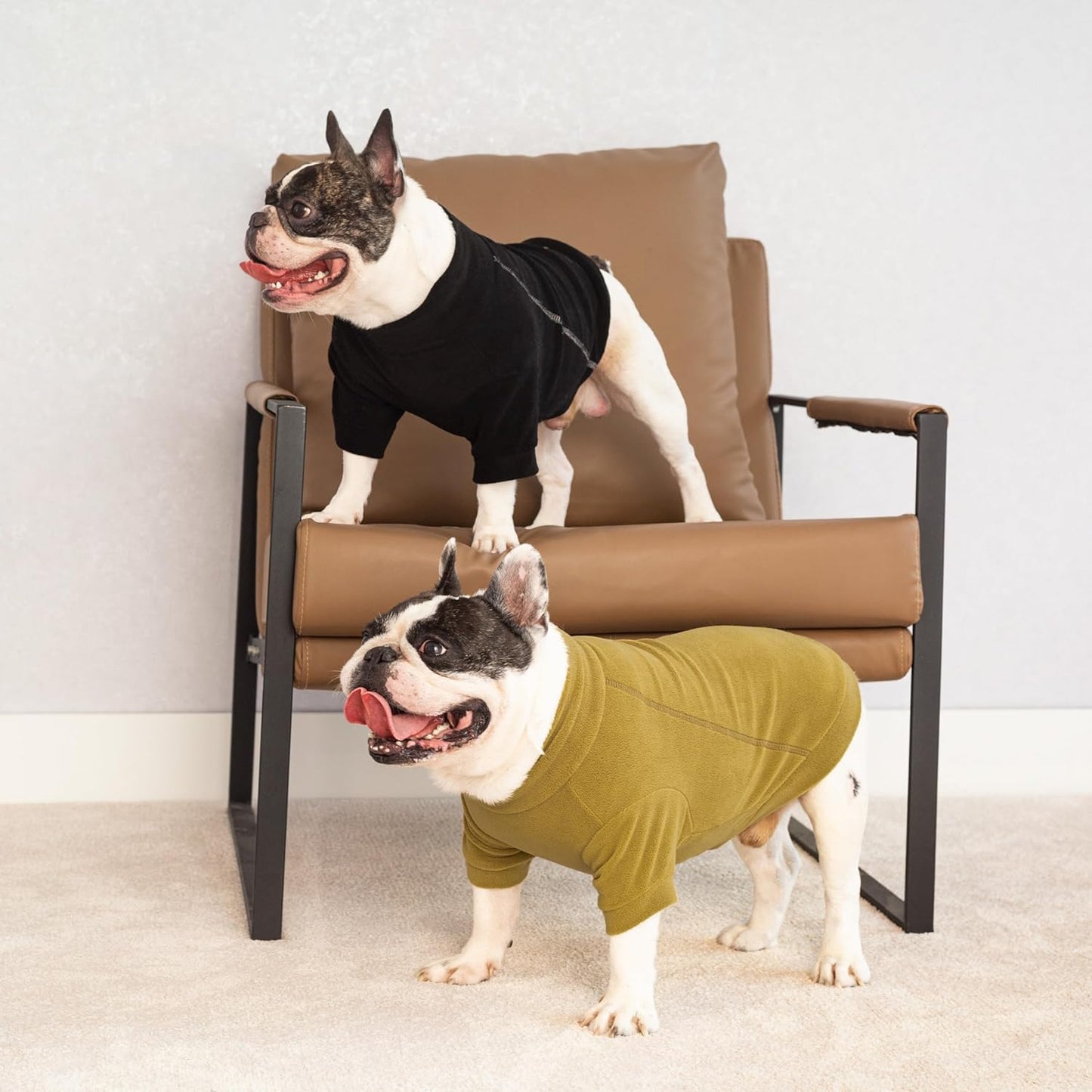 Fitwarm 3 Pack Classic Fleece Dog Sweater, Winter Clothes for Small Dogs Boy Girl, Turtleneck Dog Sweatshirt, Pet Pullover Jumper, Cat Apparel, Black, Olive Green, Cream, Medium