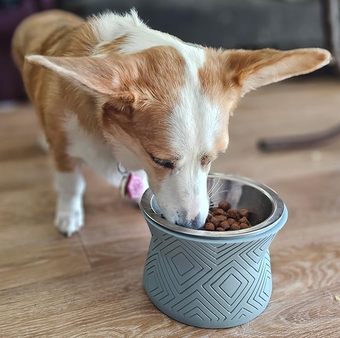 Pet Junkie Santa Fe Single Elevated Pet Bowl Stand with Removable Stainless Steel 16oz Inner Bowl for Small Dog Breed or Cat - Raised Dog Food or Water Station (Small, ICY Gray)