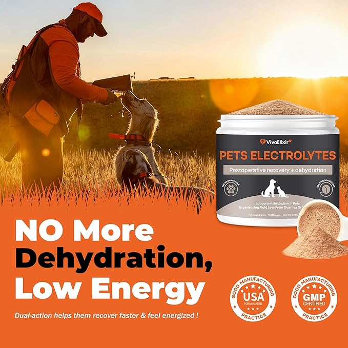 Electrolytes for Dogs – Vet-Formulated Hydration Supplement– Supports Post-Surgery & Illness Recovery– Helps Replenish Fluids & Electrolytes Lost from Diarrhea, Vomiting & Poor Appetite