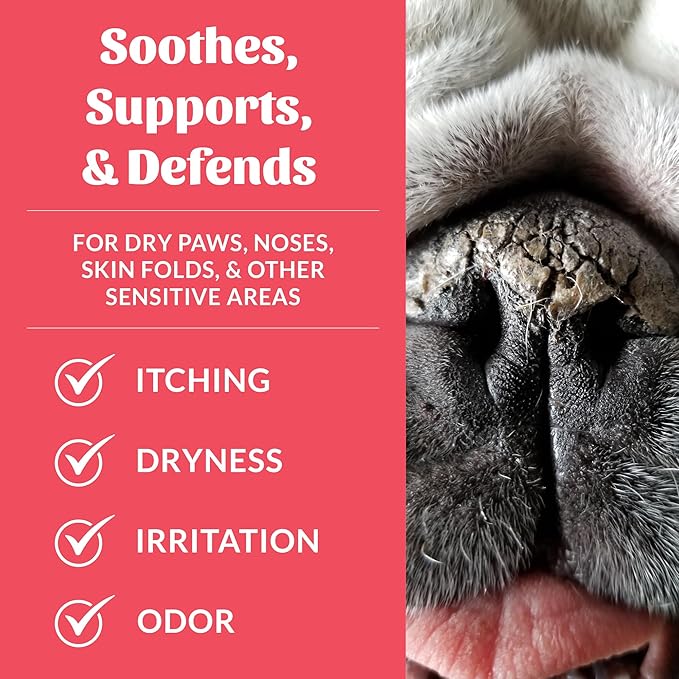 SKOUT'S HONOR Prebiotic Pet Balm - 100% Natural and Made w/Manuka Honey to Promote Healing of Your pet's paw Pads and Nose, Soothes Dry, Itchy Paws and Noses - Safe for Cats and Dogs, 0.7 oz, 3-Pack