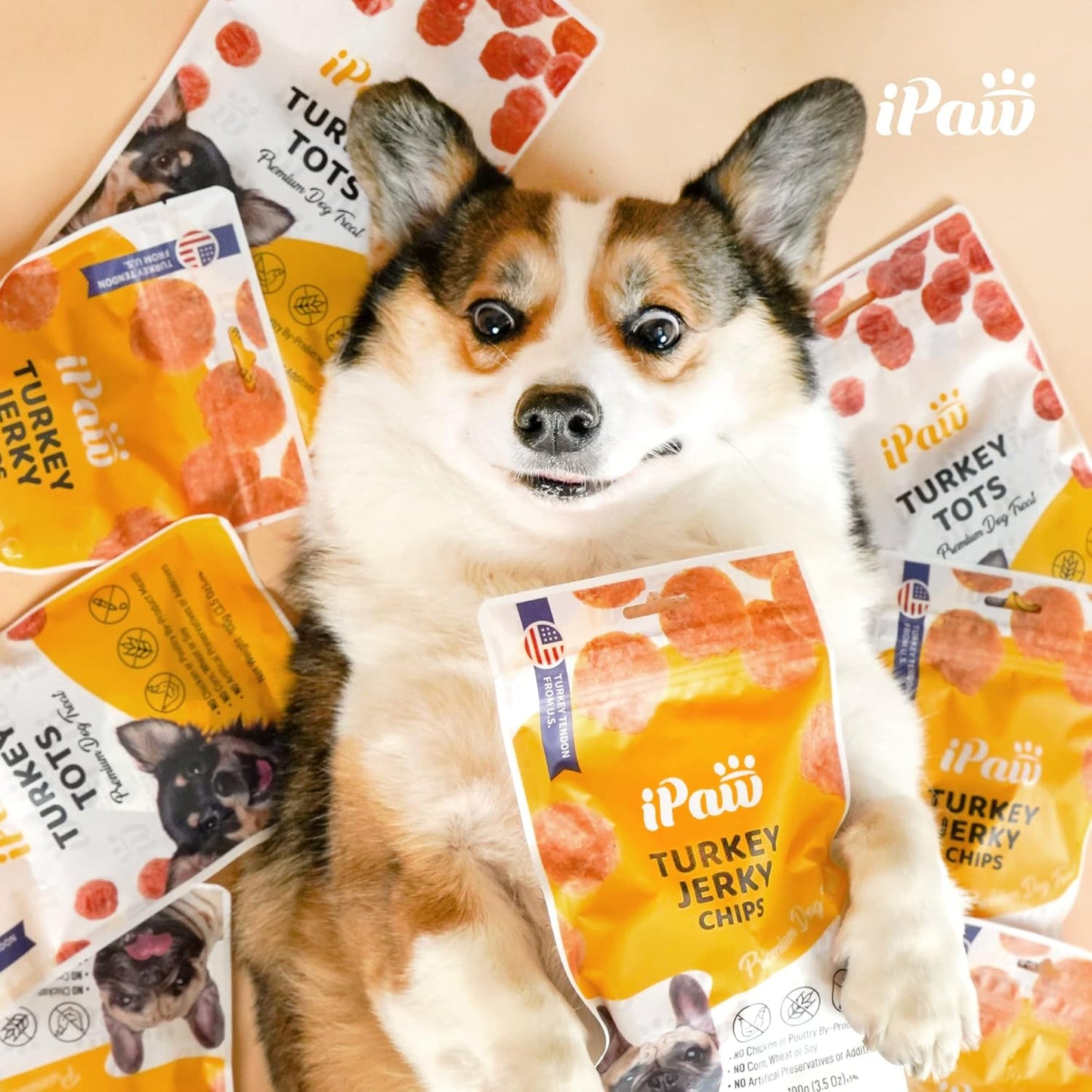 iPaw Turkey Chips Dog Treats for Puppy Training, All Natural Human Grade Dog Treat, US Sourced Raw Material, Hypoallergenic, Easy to Digest (Turkey Chips)