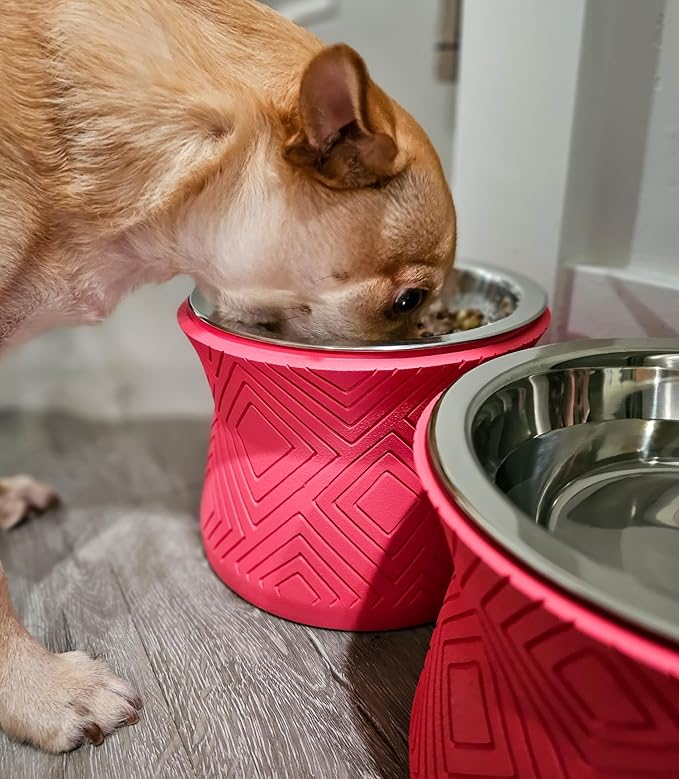 Pet Junkie Santa Fe Single Elevated Pet Bowl Stand with Removable Stainless Steel 16oz Inner Bowl for Small Dog Breed or Cat - Raised Dog Food or Water Station (Small, Coral Pink)