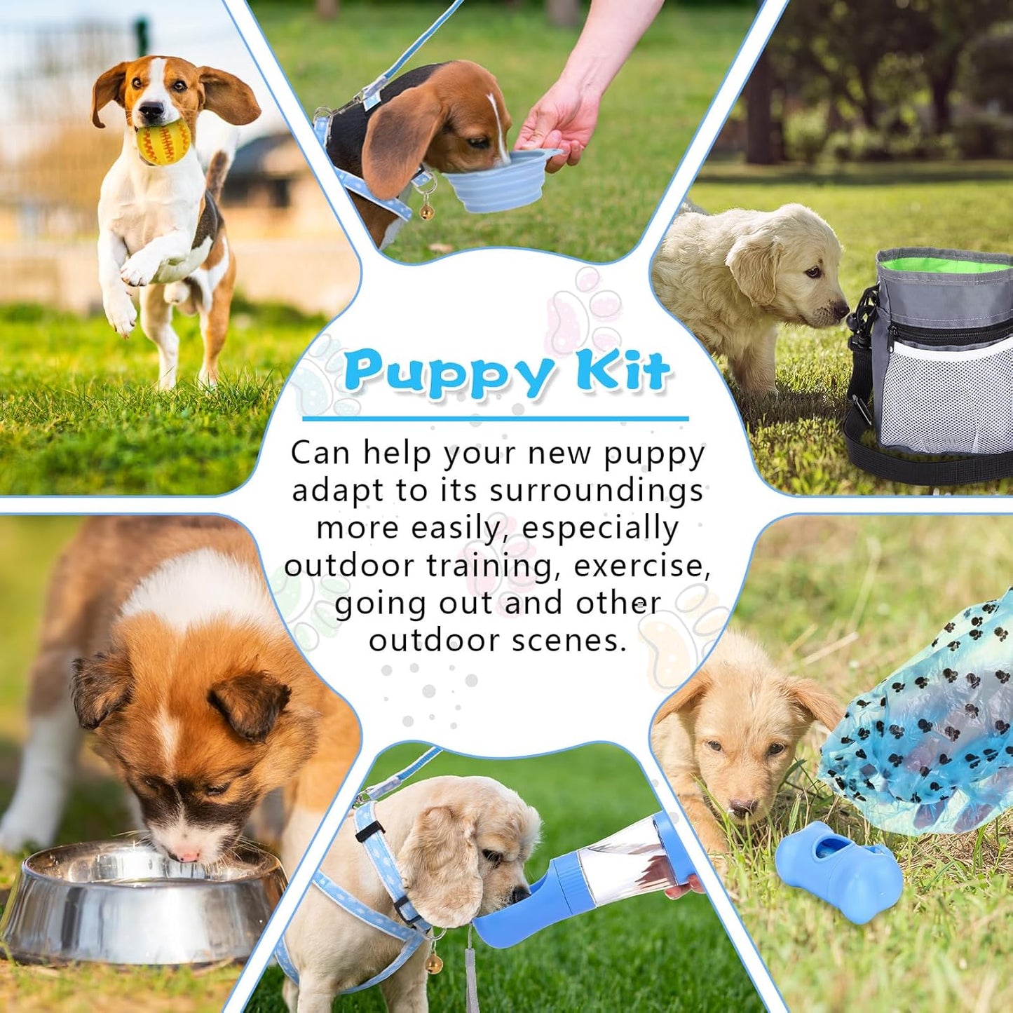 65 Pcs Puppy Supplies Starter Kit Small Dog Essentials Includes Dog Leash, Toys, Bowl, Brushes, Water Bottles, pet Blankets Puppy Accessories for New Welcome Gift Supplies(Cool,Blue)