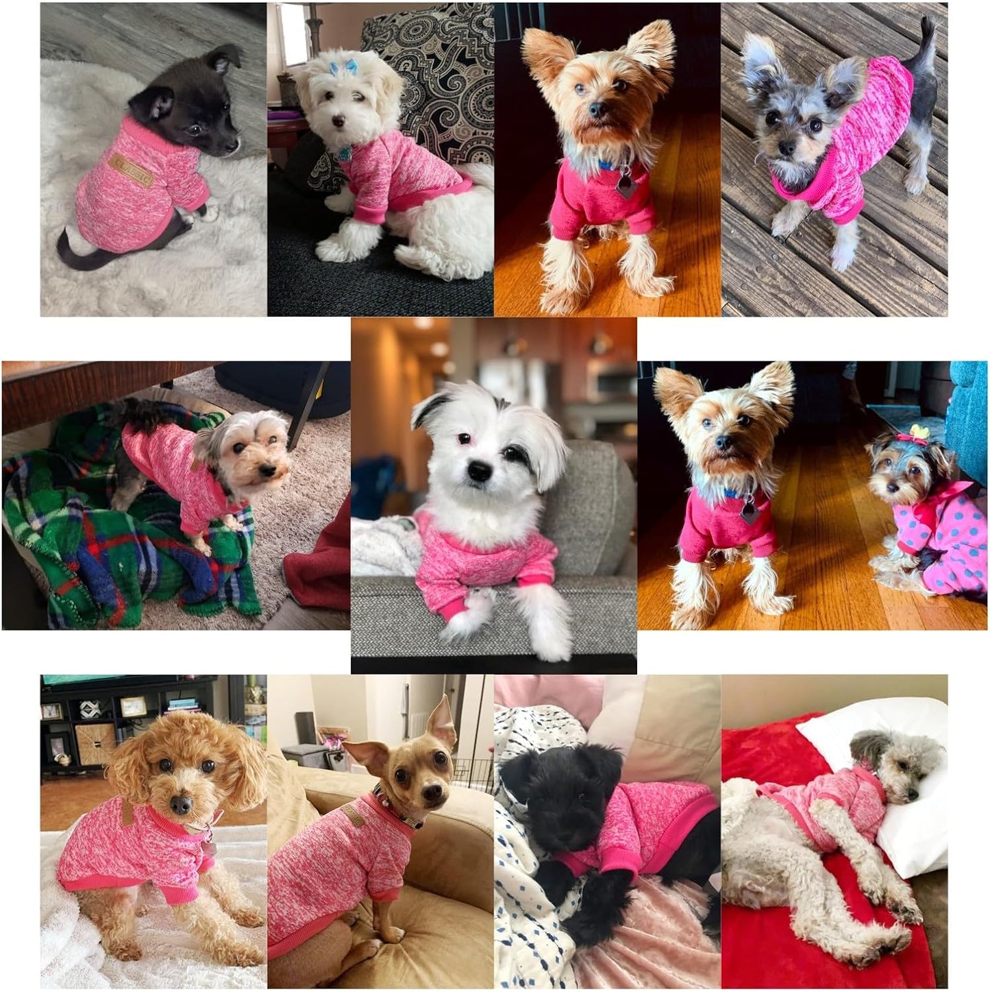 Jecikelon Dog Clothes Dogs Sweater Soft Puppies Clothing Winter Puppy Sweaters Warm Outfit for Dogs Small XXS XS Cat Apparel (Rose red, XS)