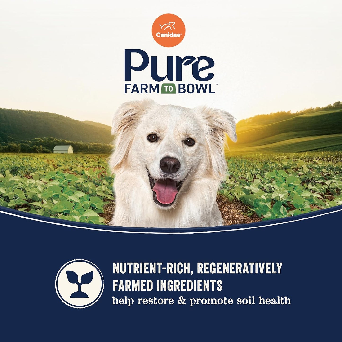 CANIDAE Pure Farm to Bowl Grass-Fed Beef & Barley Dry Dog Food, Adult, 22lb