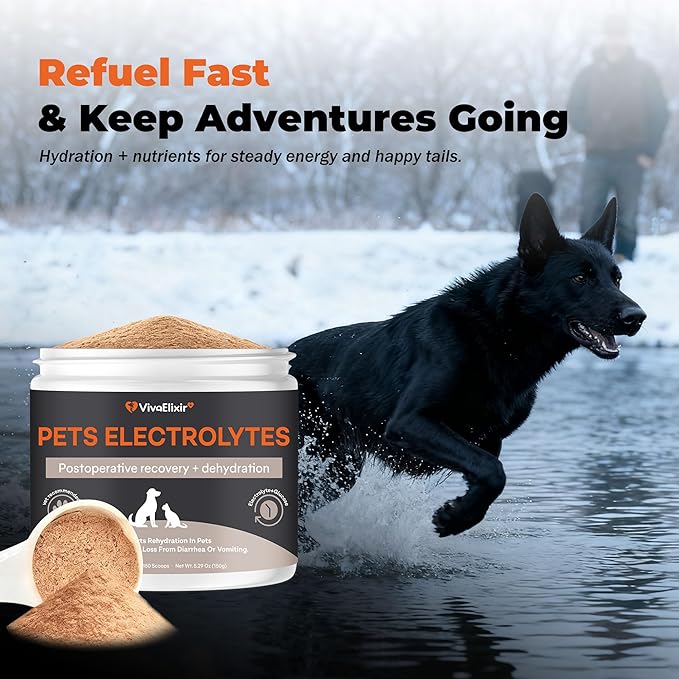 Electrolytes for Dogs – Vet-Formulated Hydration Supplement– Supports Post-Surgery & Illness Recovery– Helps Replenish Fluids & Electrolytes Lost from Diarrhea, Vomiting & Poor Appetite