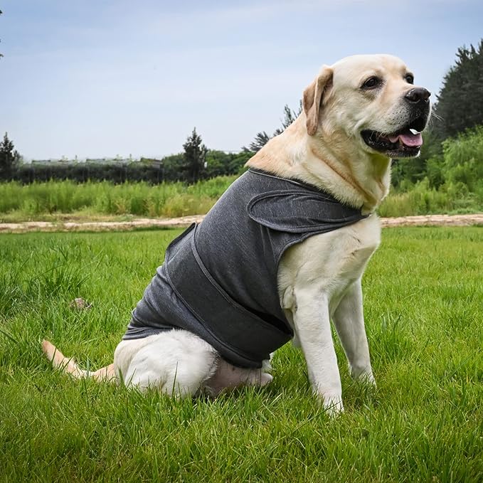 Dog Anxiety Jacket, Skin-Friendly Calming Shirt for Dogs- Dog Coat for Thunder, Fireworks and Separation - Keep Pet Calm Without Medicine & Training, Anti Anxiety Vest for Dogs (Rose Red, XL)