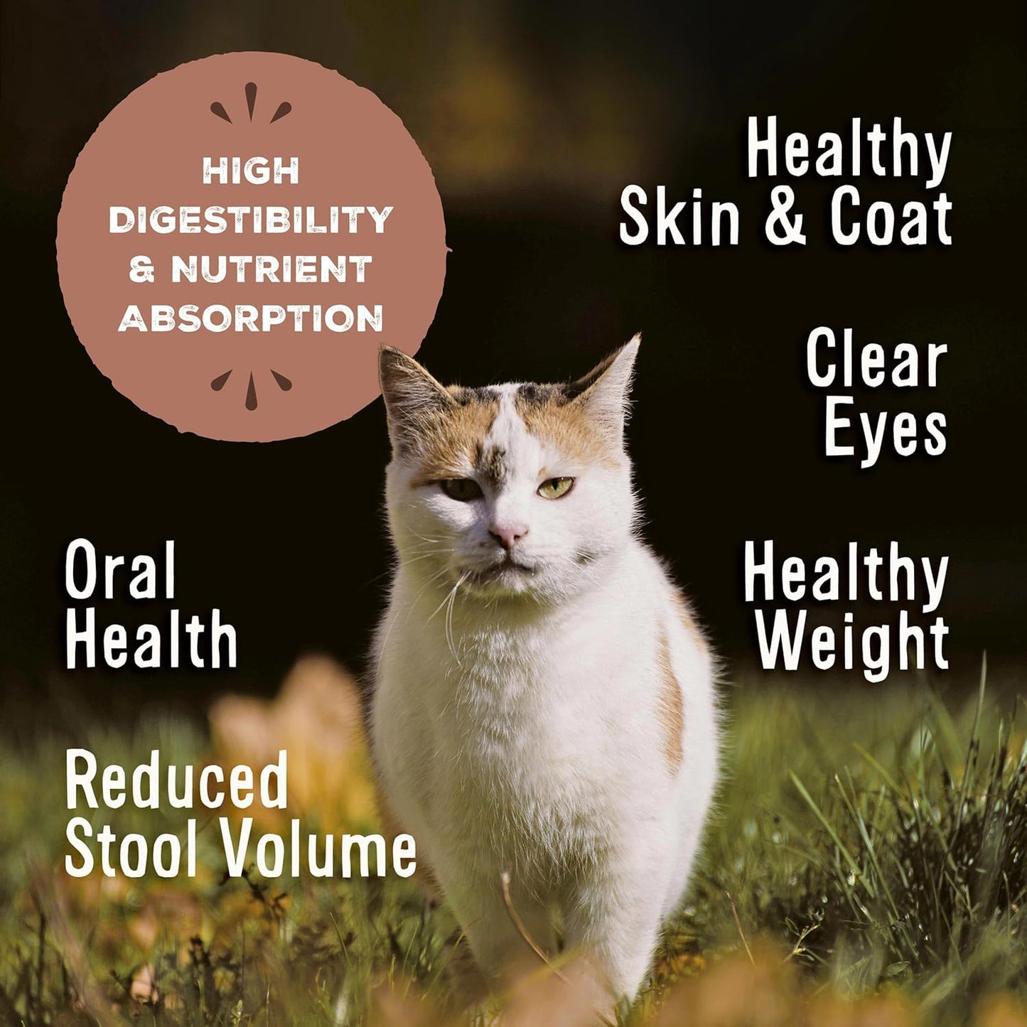 Primal Freeze Dried Raw Cat Food Nuggets Rabbit, Complete & Balanced Meal or Topper, Premium, Healthy, Grain Free, High Protein Raw Cat Food with Probiotics (14 oz)