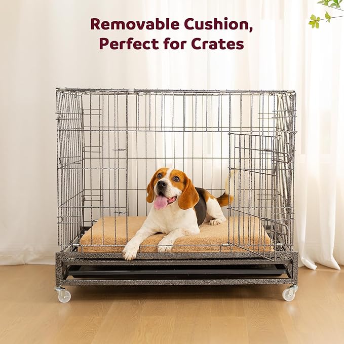 Self-Warming Orthopedic Dog Bed Medium Size Dogs - Memory Foam for Joint Pain & Arthritis, Comfort Pet Bed w/Washable Removable Cover & Waterproof Liner, Dog Couch w/Raised Bolster & Non-Slip Base