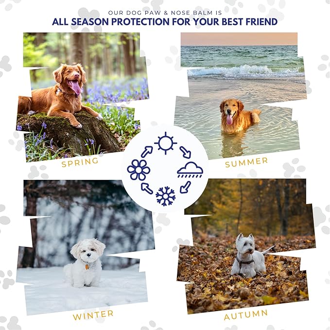 Lick Safe Dog Paw Balm - Softens, Heals, Soothes & Protects Dogs Paws, Noses & Skin. All Natural, Organic Ingredients. Lick-Safe Protection for Dogs with Beeswax (1 fl.oz - Starter Tin)