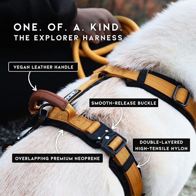 MADE TO ROAM Premium Explorer Harness - Y-Shaped Dog Harness with Adjustable Durable Nylon, Soft Padding, Metal Buckles and Leather Handle for Small, Medium, Large Dogs (Virginia Mountains, Size 4)