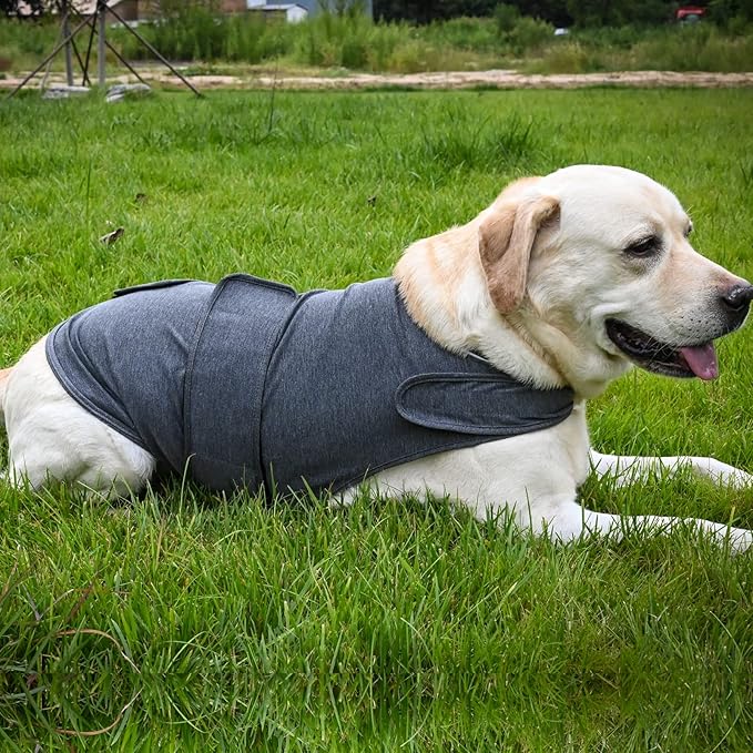 Dog Anxiety Jacket, Skin-Friendly Calming Shirt for Dogs- Dog Coat for Thunder, Fireworks and Separation - Keep Pet Calm Without Medicine & Training, Anti Anxiety Vest for Dogs (Light Grey, XL)