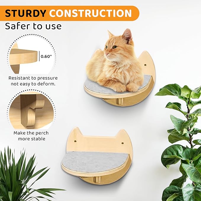 Cat Wall Steps – 2-Pack Wood Wall Mounted Cat Shelves & Floating Cat Stairs, Space-Saving Climbing Furniture for Large Cats