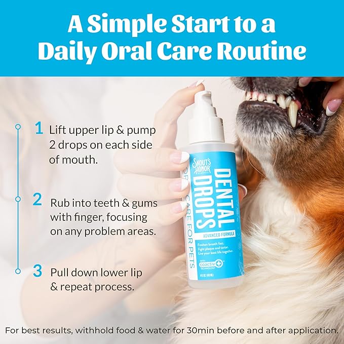SKOUT'S HONOR Fresher Breath Advanced Dental Drops - Fights Plaque and Tartar, Freshens Breath Fast, No Brushing Required, 4oz, 2-Pack