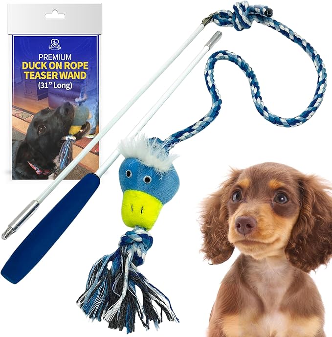 Pet Fit For Life Flirt Pole for Dogs – Extra Long 31" Dog Teaser Wand with Plush Duck Squeaky Attachment | Promotes Animal Health & Fitness, Made w/Soft & Durable Materials | Gift Idea