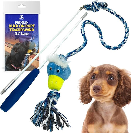Pet Fit For Life Flirt Pole for Dogs – Extra Long 31" Dog Teaser Wand with Plush Duck Squeaky Attachment | Promotes Animal Health & Fitness, Made w/Soft & Durable Materials | Gift Idea