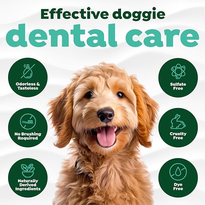 TropiClean Fresh Breath Water Additive for Dogs with Prebiotics, Gut Health for Dogs, Breath Freshener and Teeth Cleaning Solution, 16oz.