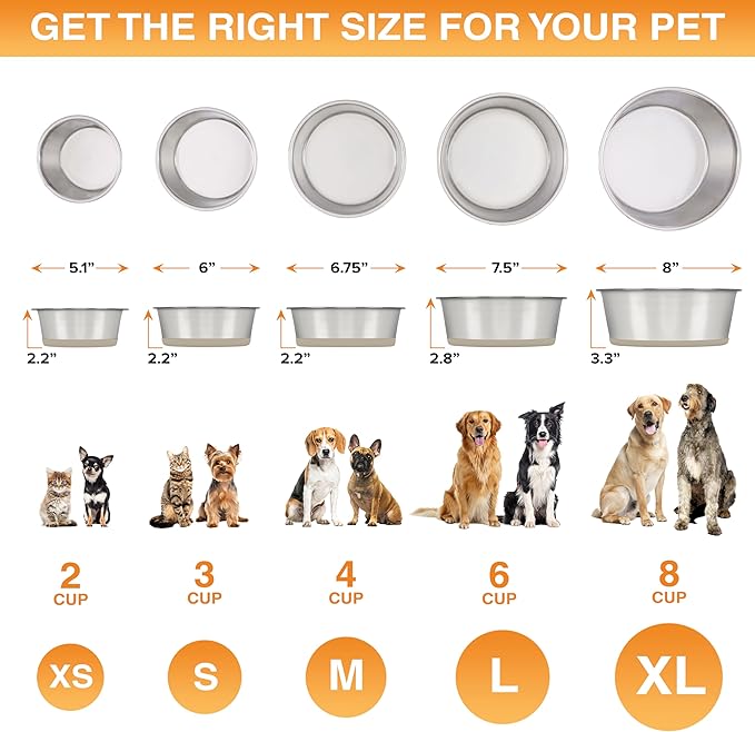 Neater Pet Brands Stainless Steel Dog Bowls with Non-Slip Rubber Bottom – 3 Cup (24 oz), Tan - Set of 2 Heavy Duty Metal Dog Bowls, Dishwasher Safe, Food or Water Bowl, Ideal for Small to Medium Dogs
